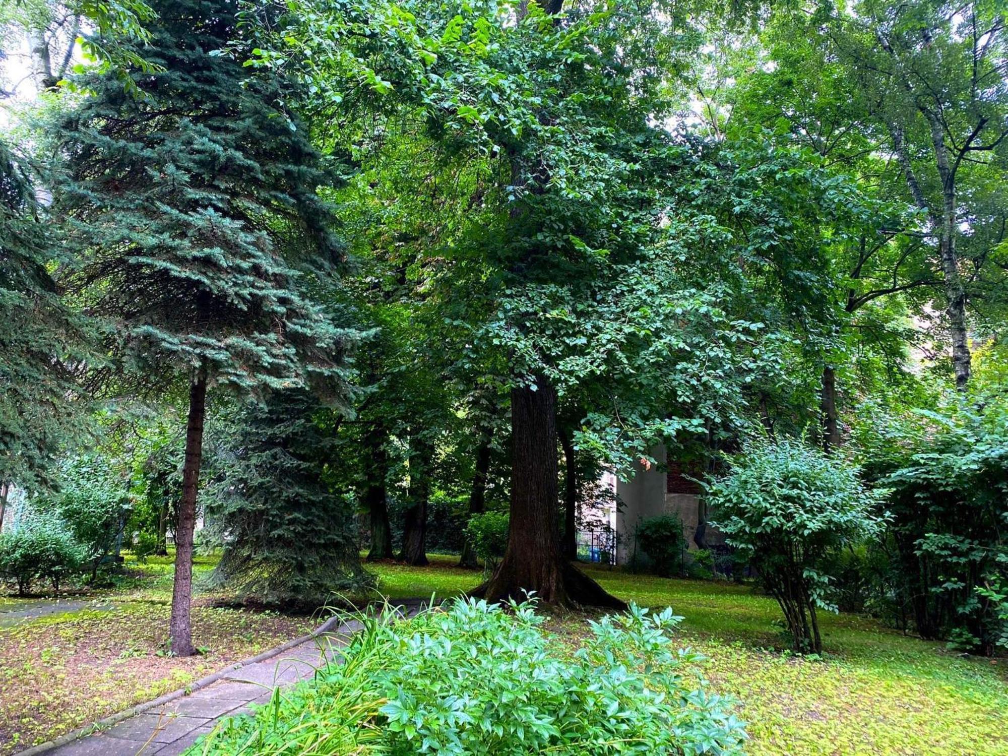 Comfortable Apartment In Old Town Kraków Exteriör bild